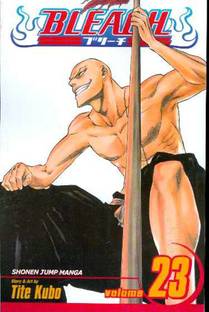 Bleach, Vol. 23: Volume 23