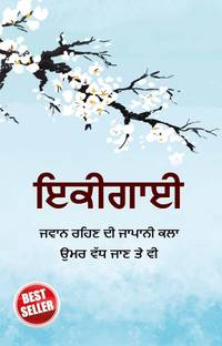 Ikigai in Punjabi