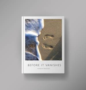 Before It Vanishes