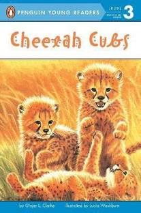 Cheetah Cubs