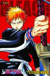 Bleach (3-in-1 Edition), Vol. 1