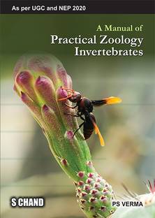 A Manual of Practical Zoology: Chordates