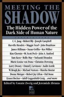 Meeting the Shadow