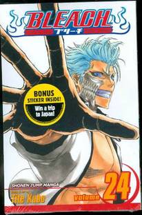 Bleach, Vol. 24: Volume 24
