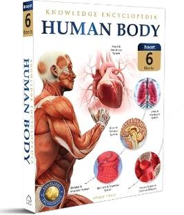 Human Body  - By Miss & Chief