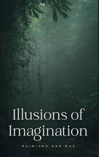 Illusions of Imagination