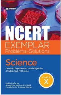 Airhant ncert Exampler maths and science class 10