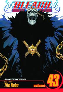 Bleach, Vol. 43