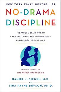 No-Drama Discipline book