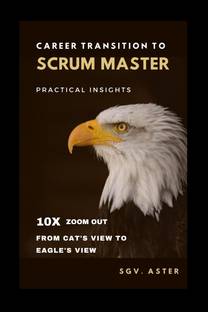 Career Transition to Scrum Master - Practical Insights