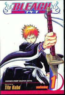 Bleach, Vol. 1: Volume 1