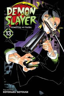 Demon Slayer: Kimetsu no Yaiba, Vol. 13  - Demon slayer vol 1