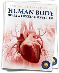 Human Body  - By Miss & Chief