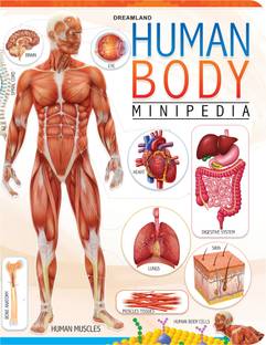 Human Body Minipedia  - Knowledge Encyclopedia For Children, Encyclopedia Book for Kid, Heart, Circulatory, Brain And Nervous System