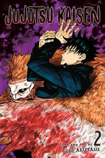 Jujutsu Kaisen, Vol. 2: Volume 2  - JUJUSTU KAISEN VOL2 with 1 Disc