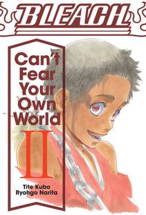 Bleach: Can't Fear Your Own World, Vol. 2: Volume 2
