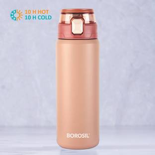 BOROSIL 600 ml Steel Bottle