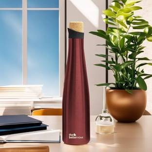 The Better Home 500 ml Steel Bottle
