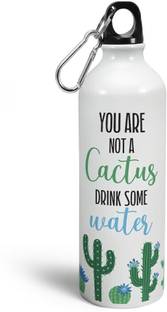Indigifts 750 ml Aluminium Bottle