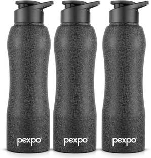 pexpo 1000 ml Steel Bottle