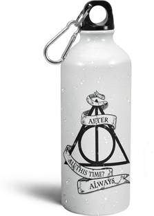 Morons After All This Time - Harry Potter Quotes - Hogwarts for Potterhead Collection 600 ml Bottle