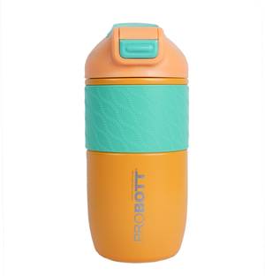 PROBOTT 520 ml Steel Flask