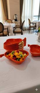 RK TECH Plastic Serving Bowl Serving bowl snakes bowls pack of 6