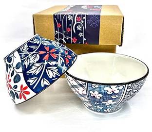 JDSSALES Ceramic Soup Bowl Udon Soba Pho Bowls Porcelain Pho Bowls (300ML, Set of 2) Disposable