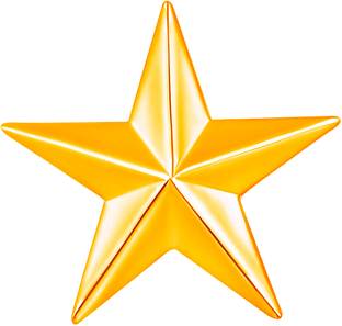 mahi Shining Star Lapel Pin Badge Collar Pin Brooch