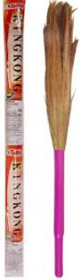 GALA King Kong Grass Plastic Dry Broom