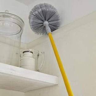 Trimurti Gobhi Jala Stick Broom for Home, Office, Kitchen Ceiling Cleaning Jala Cleaning Broom with Telescopic Extra Long Handle Plastic Wet and Dry Brush (Multicolor) Gobhi Jala Stick Broom for Home, Office, Kitchen Ceiling Cleaning Jala Cleaning Broom with Telescopic Extra Long Handle Plastic Wet and Dry Brush (Multicolor) Nylon Dry Broom