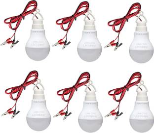 ambert 9 W Basic Globe Plug & Play LED Bulb