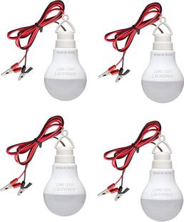 ambert 9 W Basic Globe Plug & Play LED Bulb