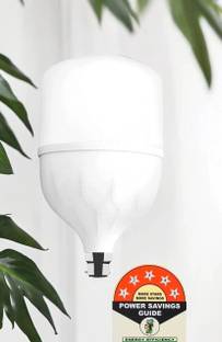Dunagiri 25 W Basic Standard B22 LED Bulb