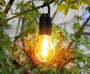 Nirvaana 2 W Basic Round USB Gadget Bulb