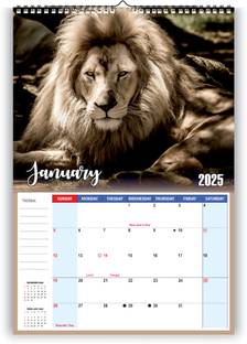 Zoozoartz New Year Wild Animals Wall Calendar 2025 Wall Calendar