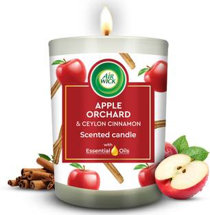 Airwick Apple Orchard & Ceylon Cinnamon,Premium Scented Jar Candle (40 Hours) Candle