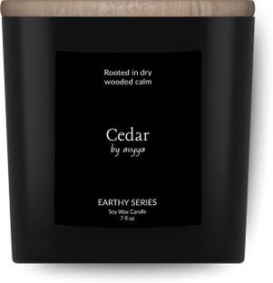 Avyya Cedar Earthy Series Soy Candle | 100% Natural Soy Wax | Carbon-Free Candle