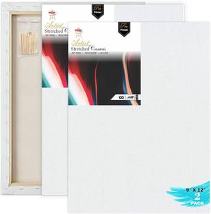 VARIETY 9"X 12" PRE STRETCHED CANVAS ARTIST GRADE TRIPLE LAYER PRIMED Cotton Medium Grain Stretched Canvas Board, Pre Stretched Canvas (Set of 2)