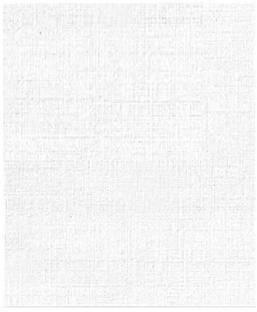 MOREL CANVASES FOR PAINTING 4X6 INCH BLANK WHITE BOARD ART PANELS FOR PAINTING Cotton Soft Touch Board Canvas (Set of 1)