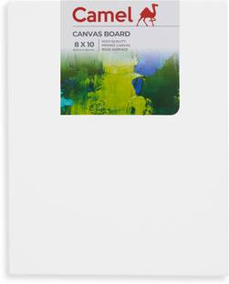 Camel Regular Cotton Acrylic Coated Board Canvas (Set of 1)