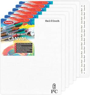VARIETY 8 X 10 CANVAS BOARD Cotton Medium Grain Board Canvas (Set of 6)