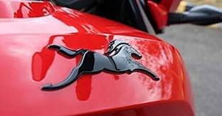 BR BULL Emblem for Bike