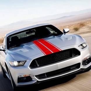 stylishdecor Sticker & Decal for Car