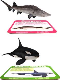 BLADEKING BEYS sea animals toys for kids -fish toy card game augmented reality toys for kids