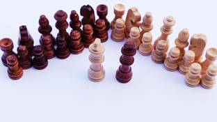 HHS SPORTS Wooden chess Coin Set, Set Of 32 pawns Chess Pawns B Carrom Pawns