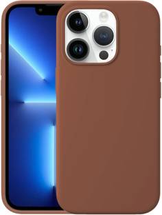 PUNAK Back Cover for Apple iPhone 13 Pro