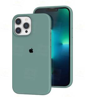 Big Wings Back Cover for APPLE IPHONE 15 PRO