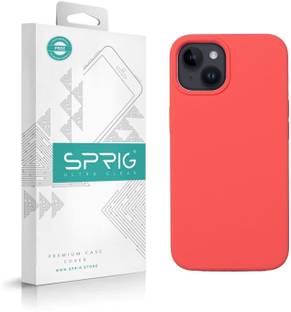 Sprig Back Cover for Apple iPhone 13