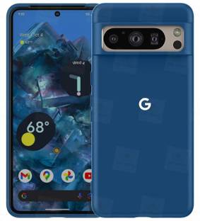 Big Wings Back Cover for GOOGLE PIXEL 8 PRO